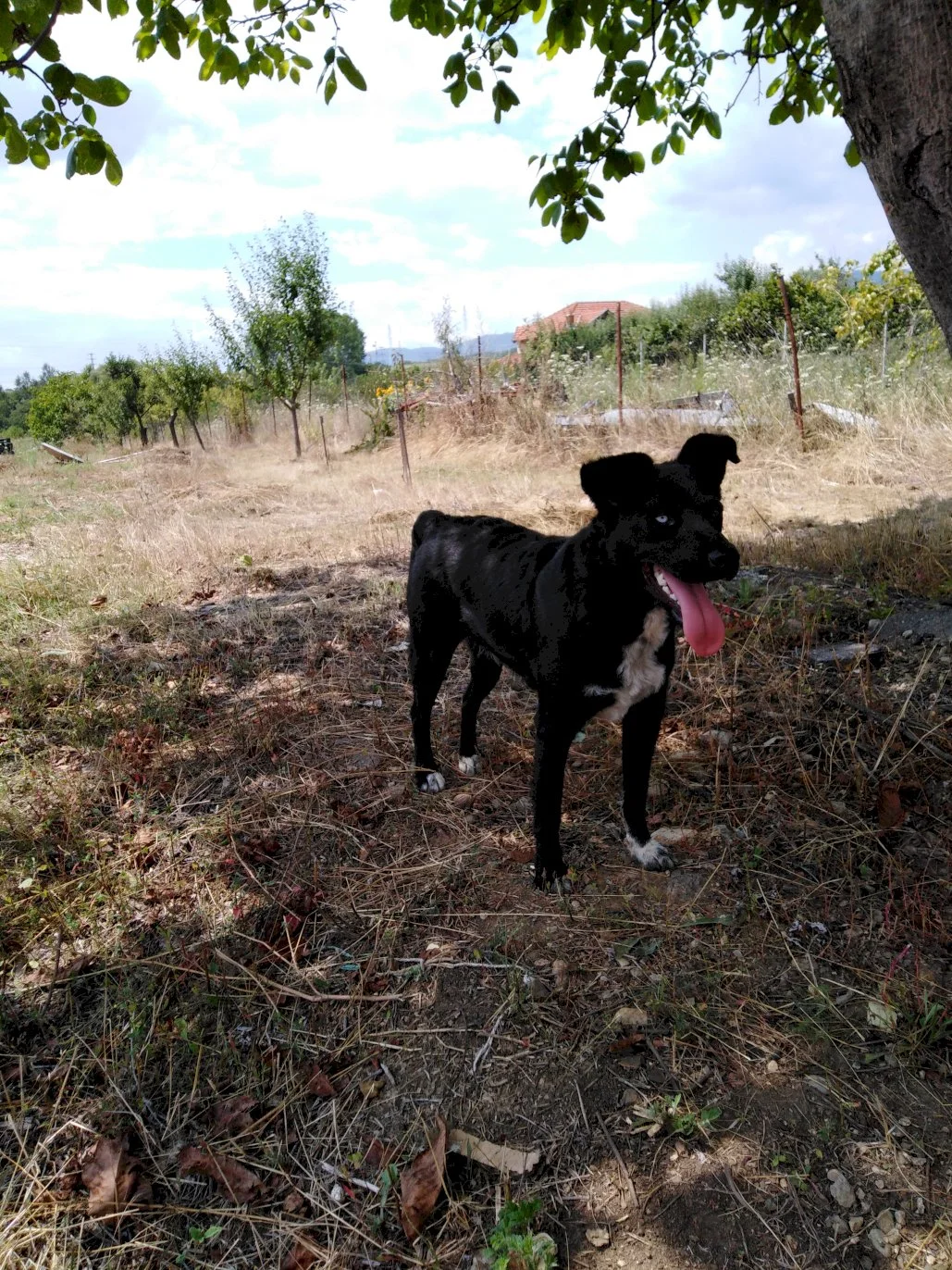 Esma