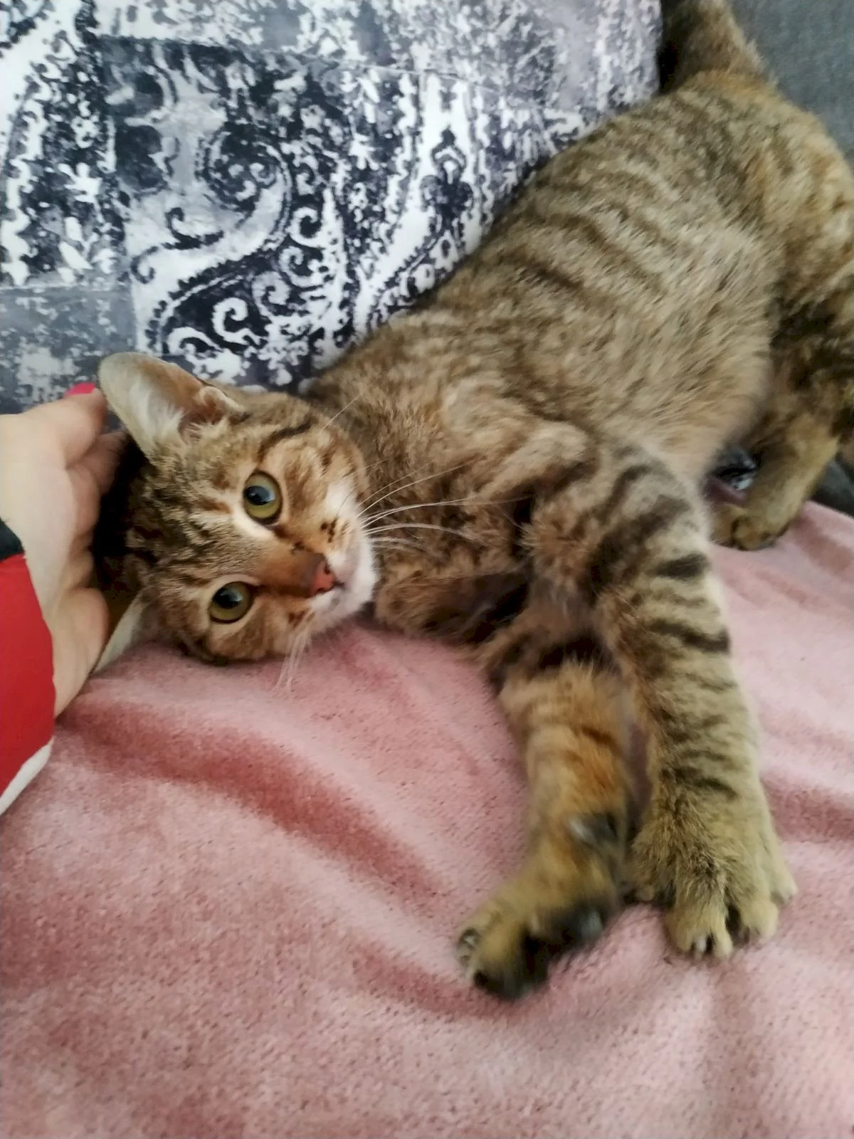 Maka