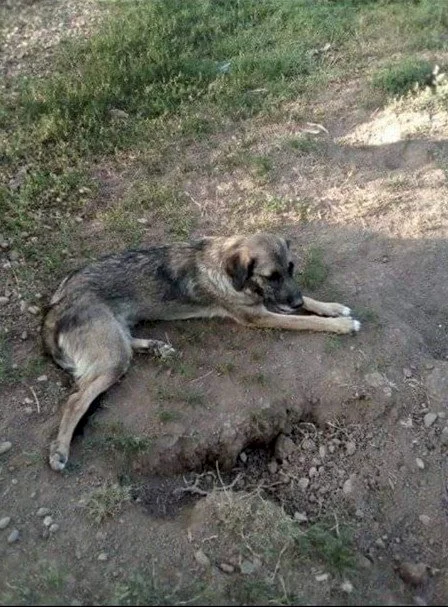 Бакса