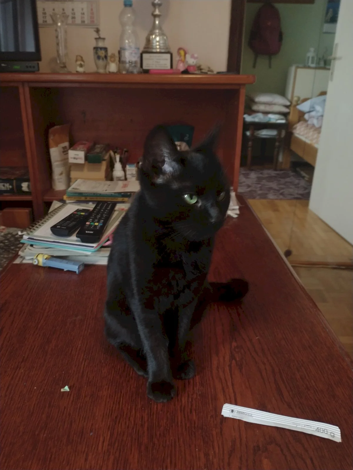 Меги — 2